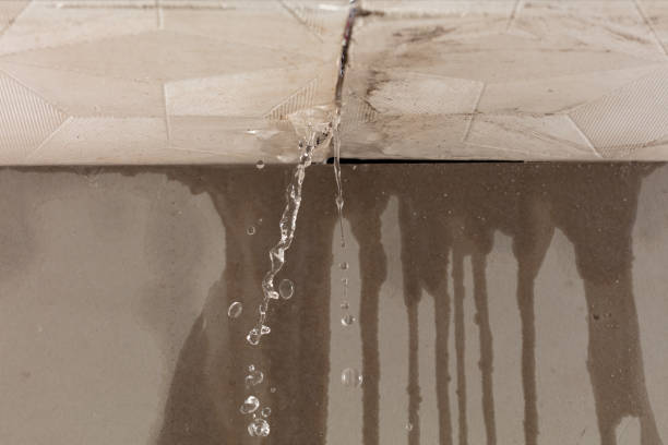 Professional Structural Drying technician working in Levittown, PA